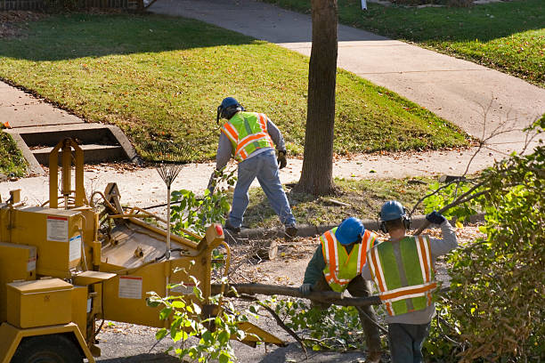 Best Tree Risk Assessment  in Meridian Hills, IN